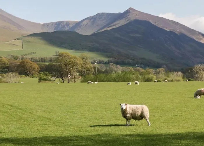 بيت للعطل Scandale *